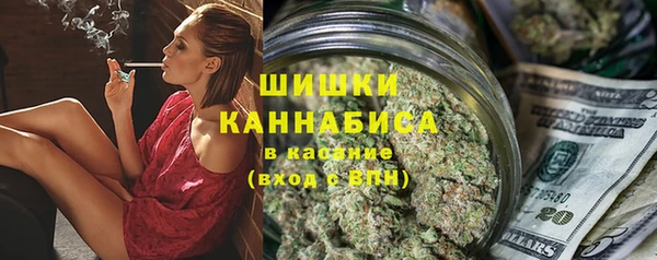 мдпв Осинники