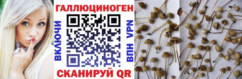 Псилоцибиновые грибы Magic Shrooms где можно купить наркотик кракен как войти Хилок